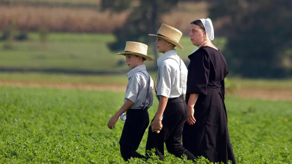 Isolados do mundo? Regras surpreendentes que os Amish têm de seguir